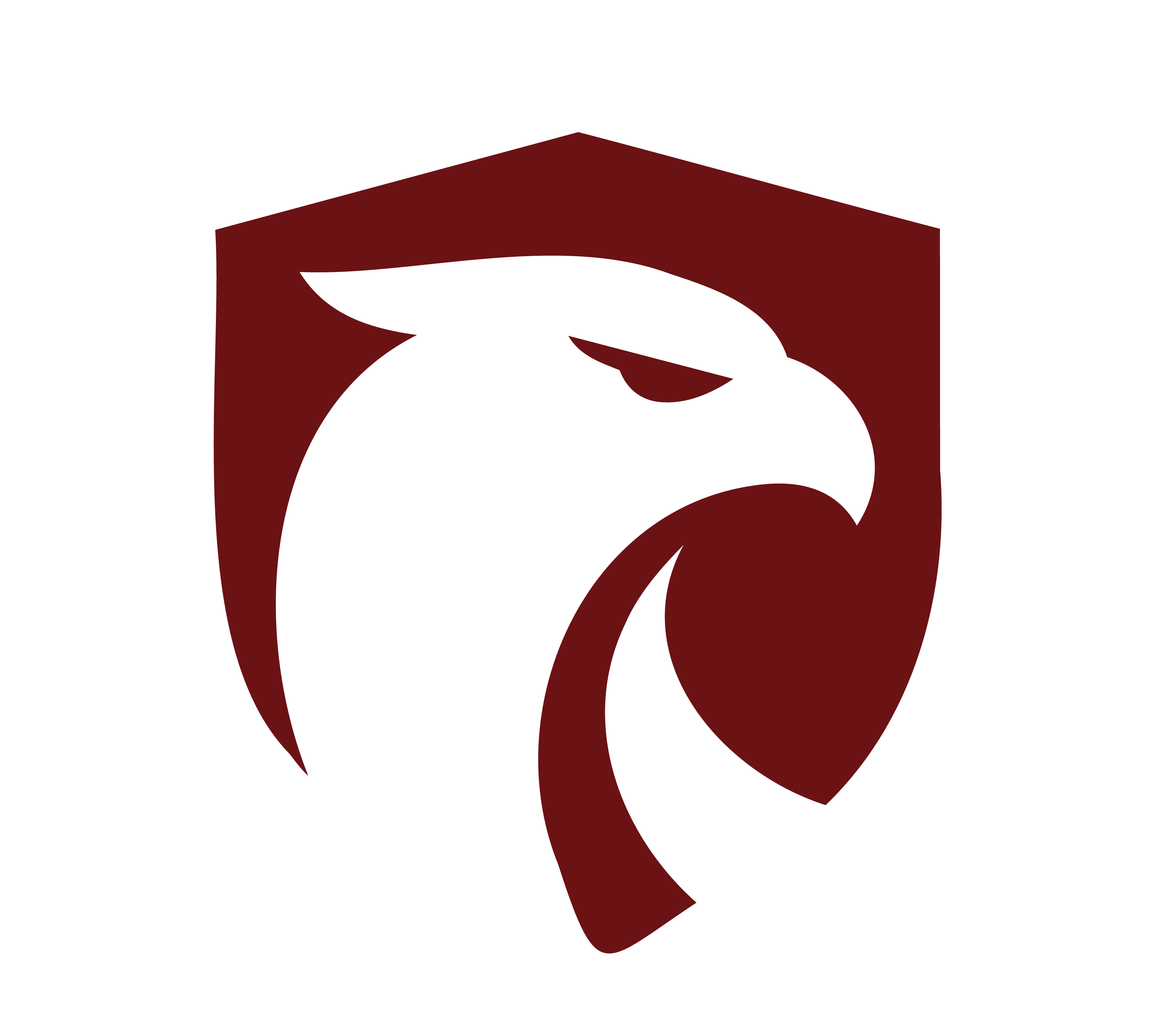RedSentrix-2